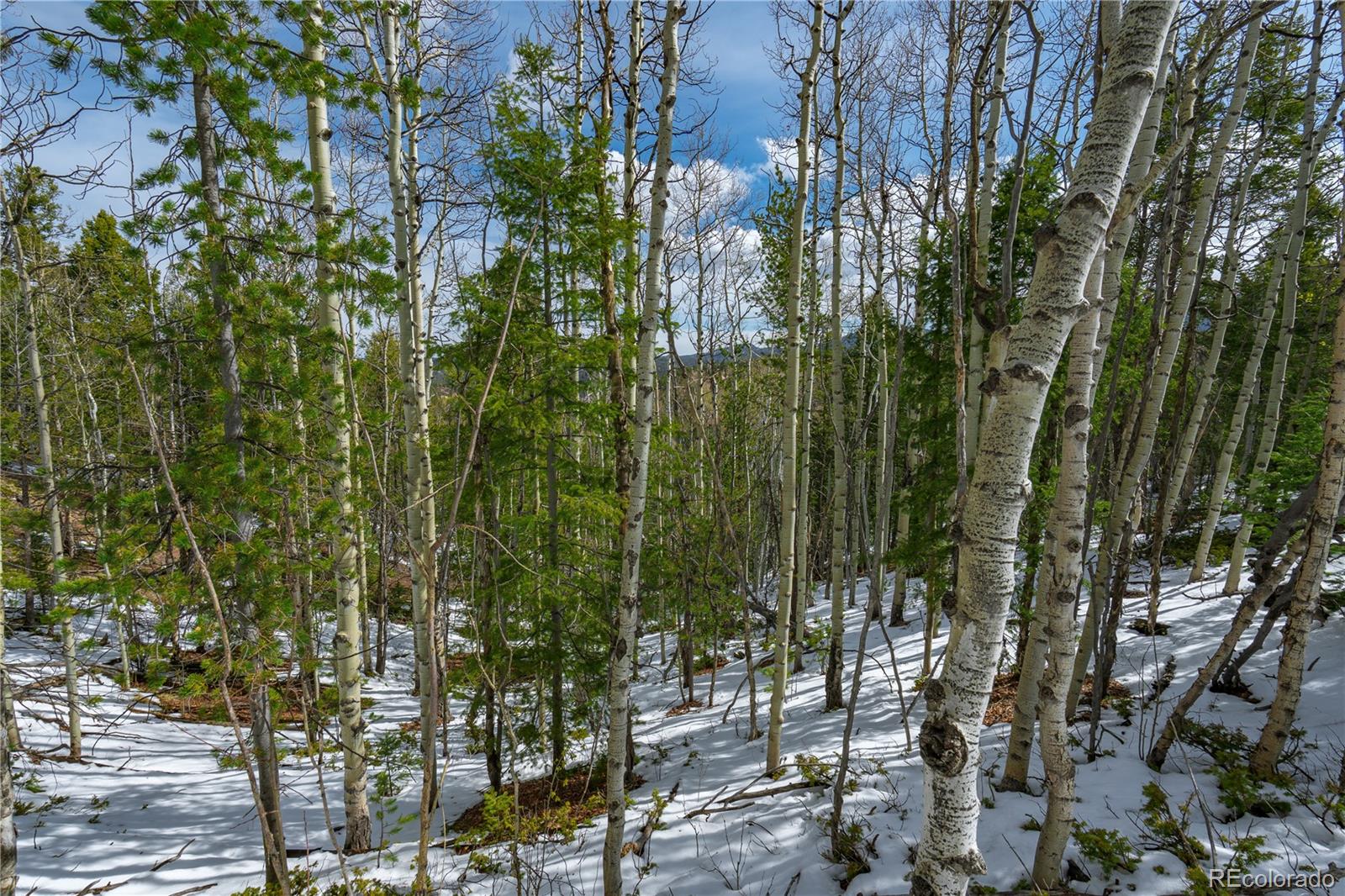 224 Deadwood Road Cripple Creek CO 80813