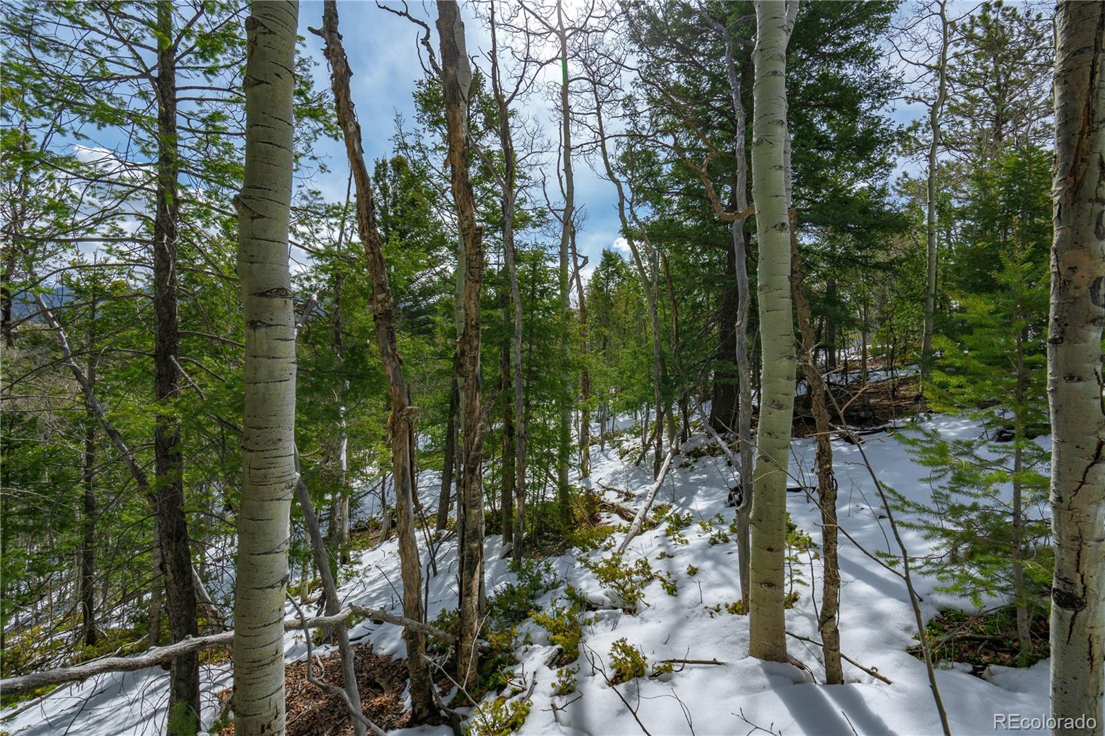 224 Deadwood Road Cripple Creek CO 80813