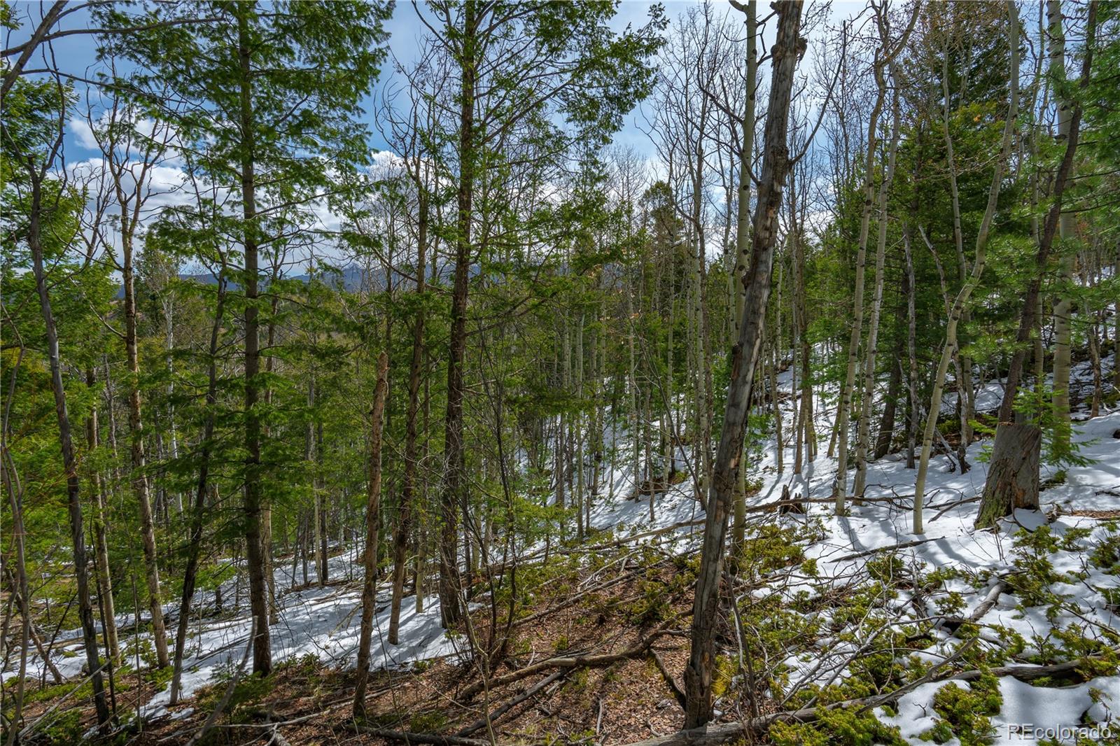 224 Deadwood Road Cripple Creek CO 80813