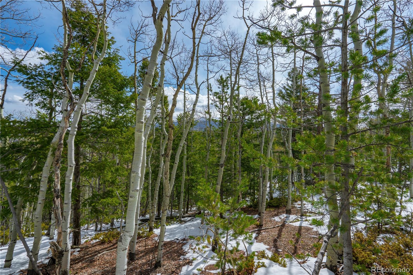 224 Deadwood Road Cripple Creek CO 80813