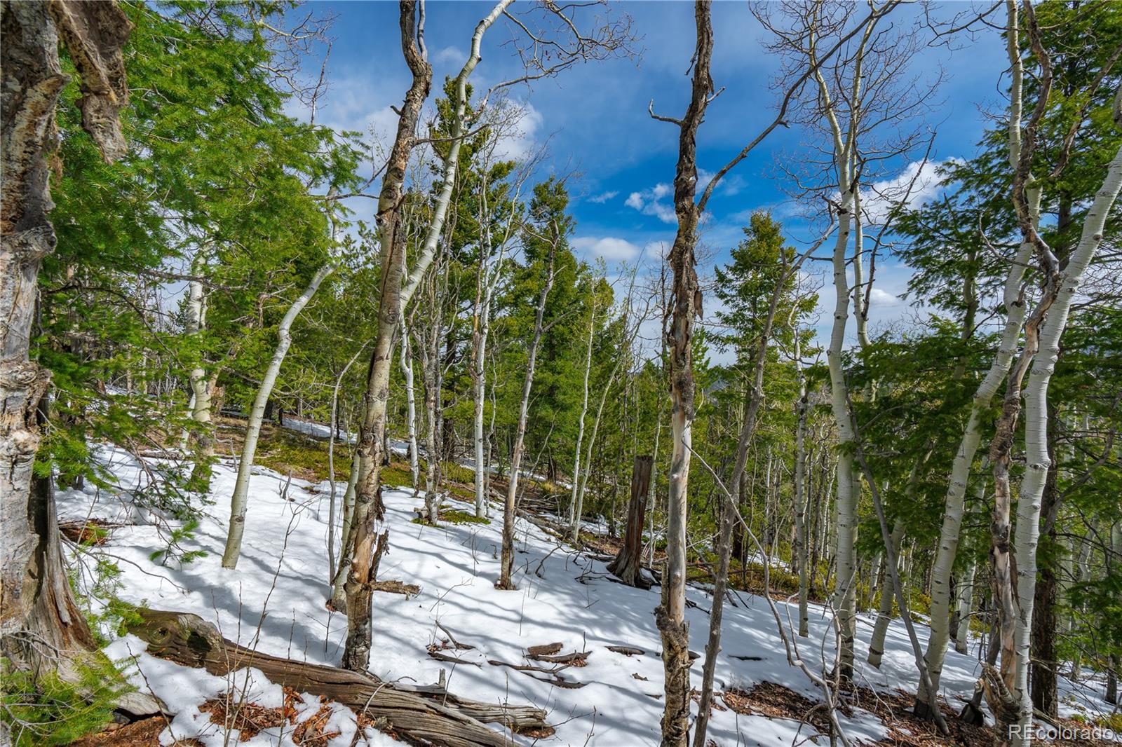 224 Deadwood Road Cripple Creek CO 80813