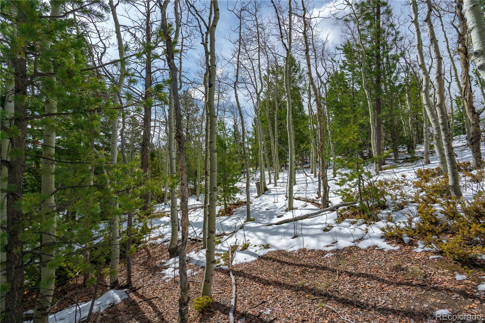 224 Deadwood Road Cripple Creek CO 80813