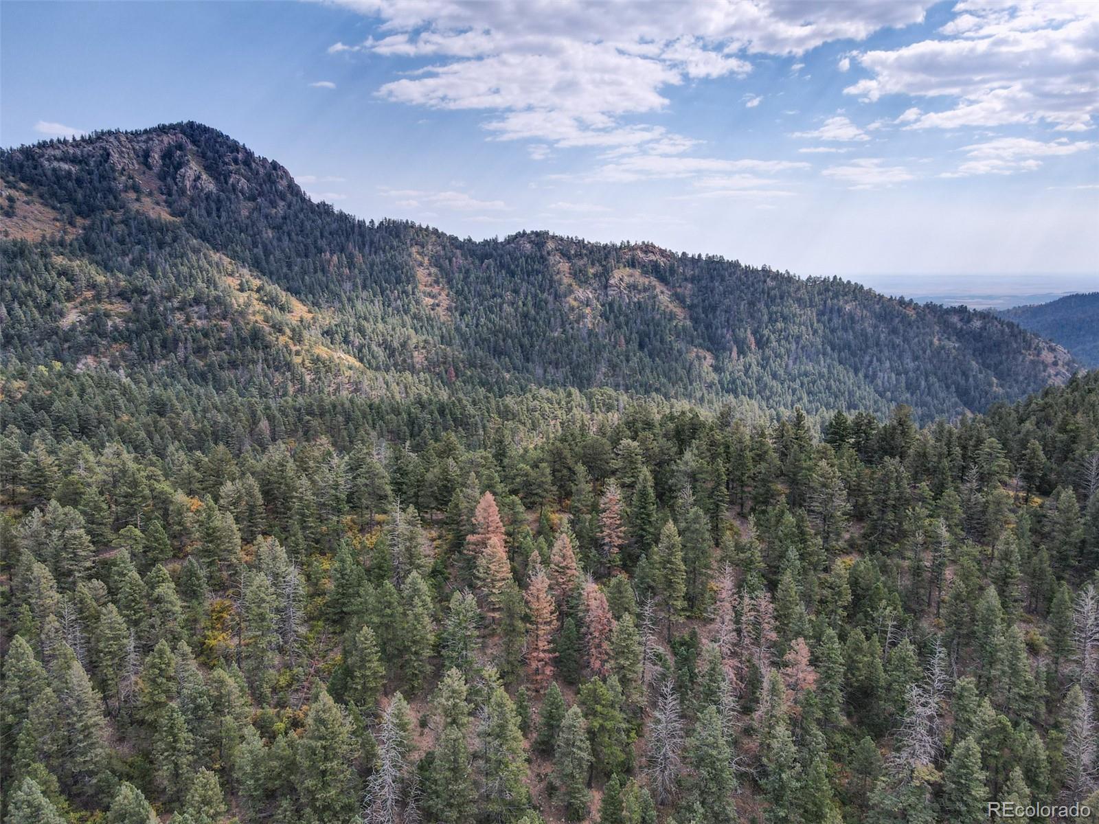 4950 Little Turkey Creek Road Colorado Springs CO 80926