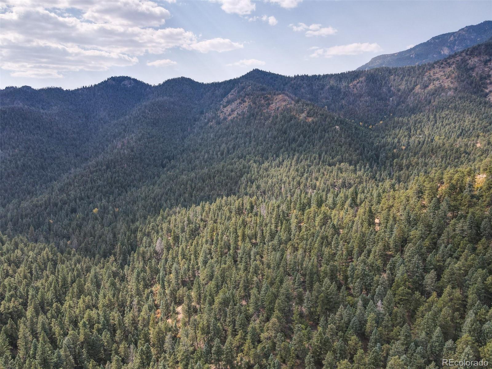 4950 Little Turkey Creek Road Colorado Springs CO 80926