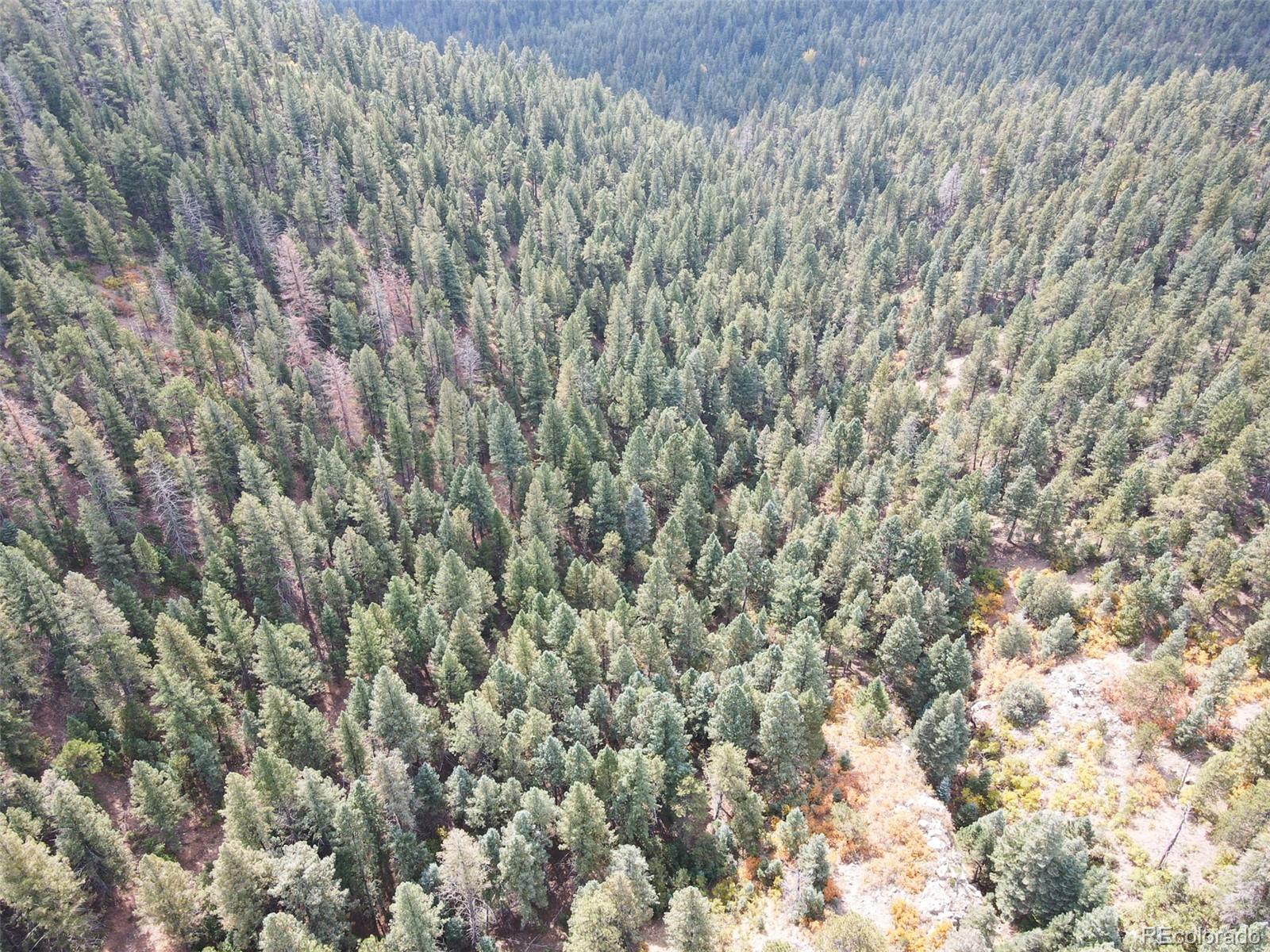 4950 Little Turkey Creek Road Colorado Springs CO 80926
