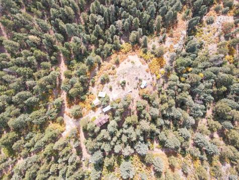 4950 Little Turkey Creek Road Colorado Springs CO 80926