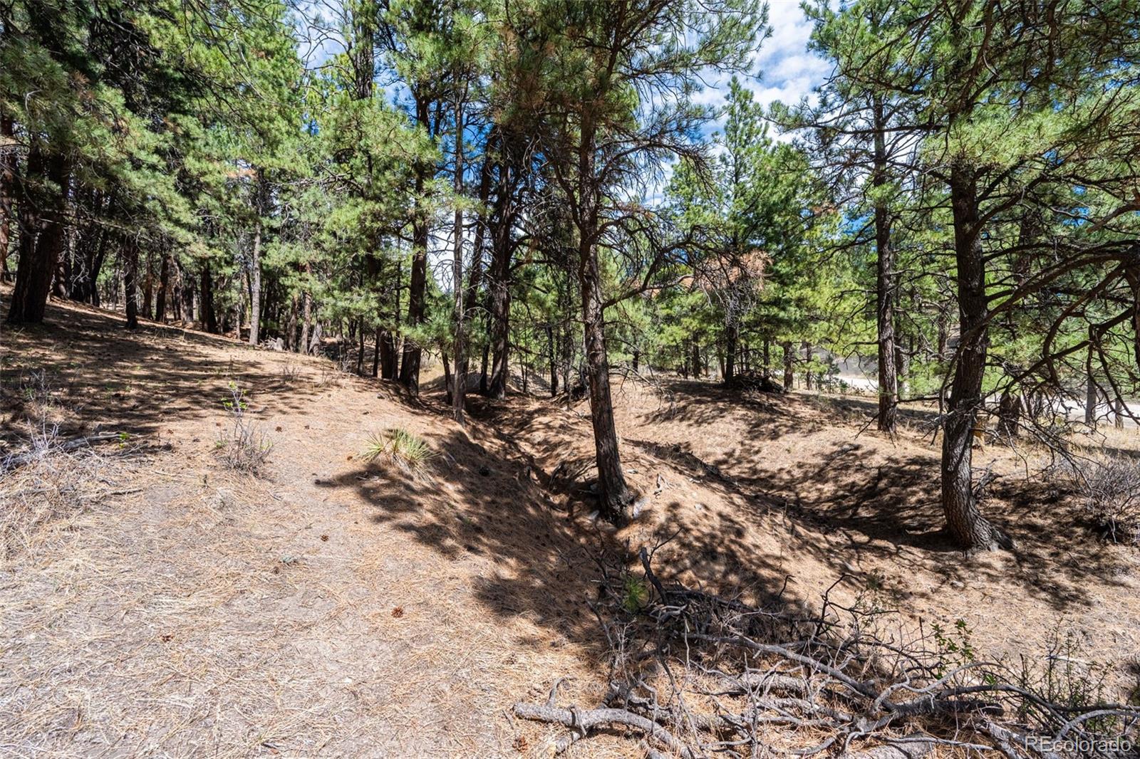 22555 County Road 49 Elbert CO 80106