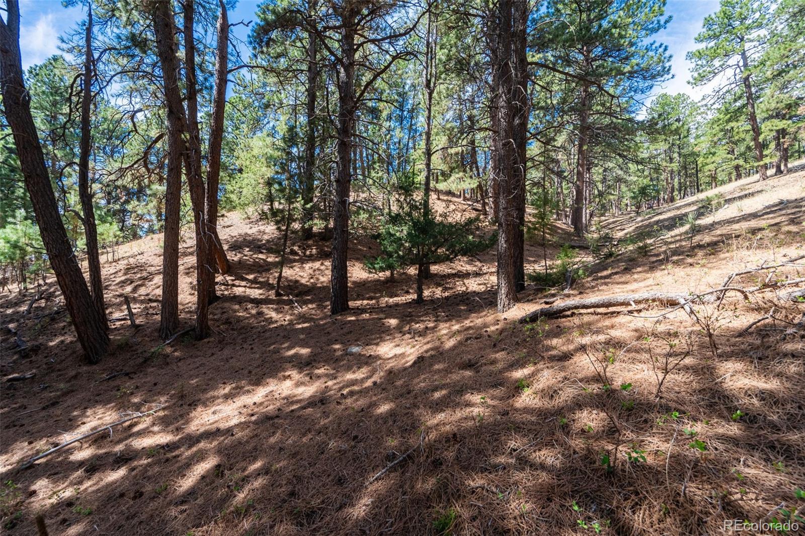22555 County Road 49 Elbert CO 80106