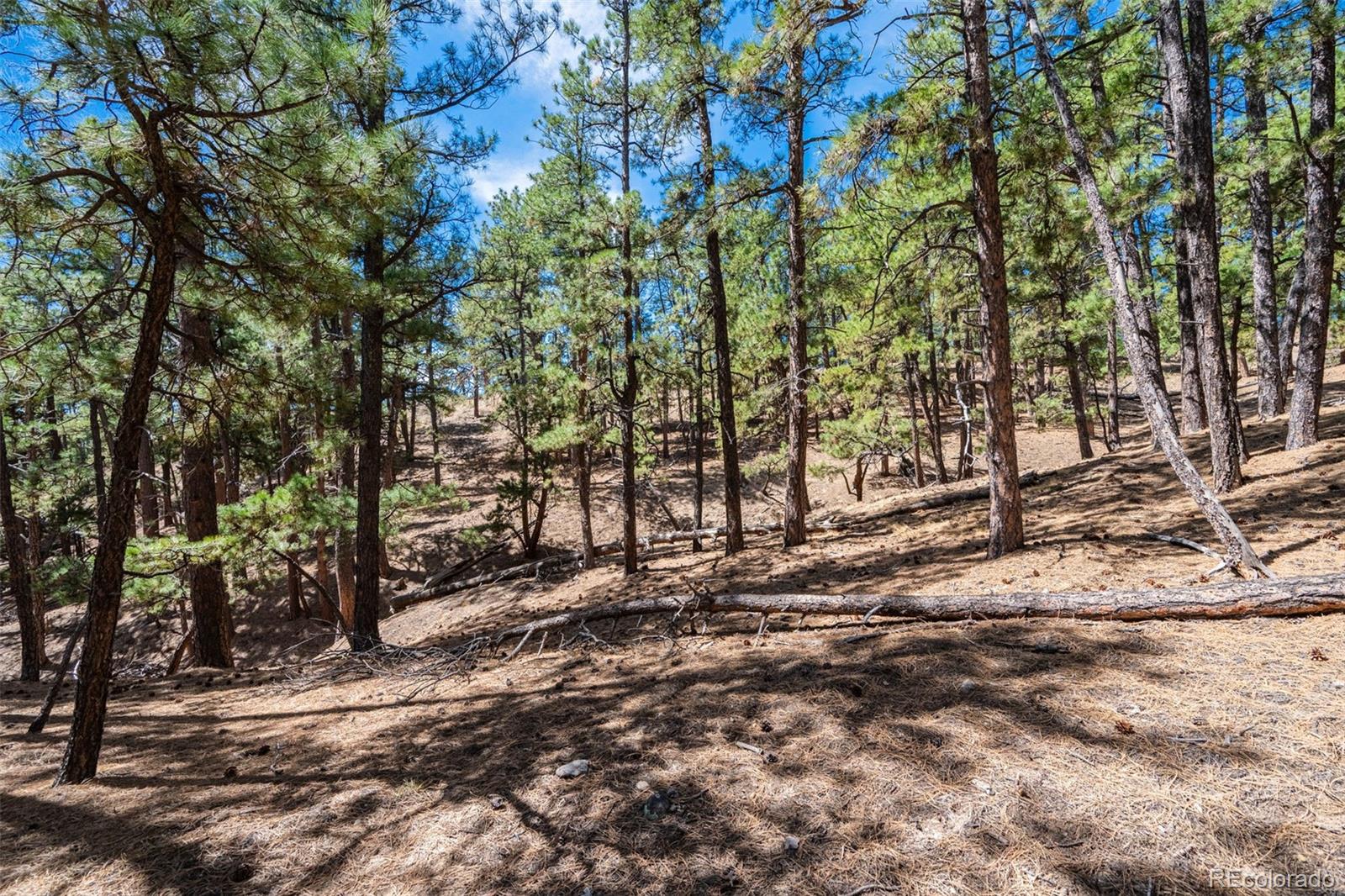 22555 County Road 49 Elbert CO 80106
