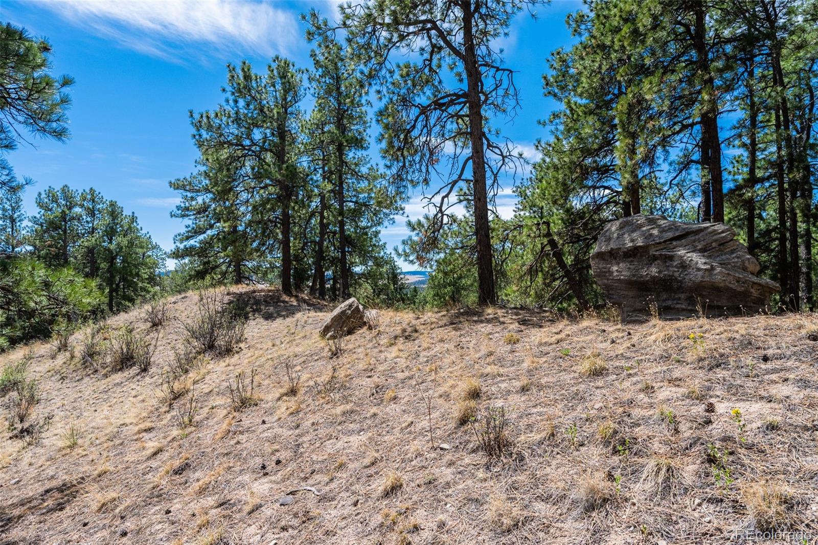 22555 County Road 49 Elbert CO 80106