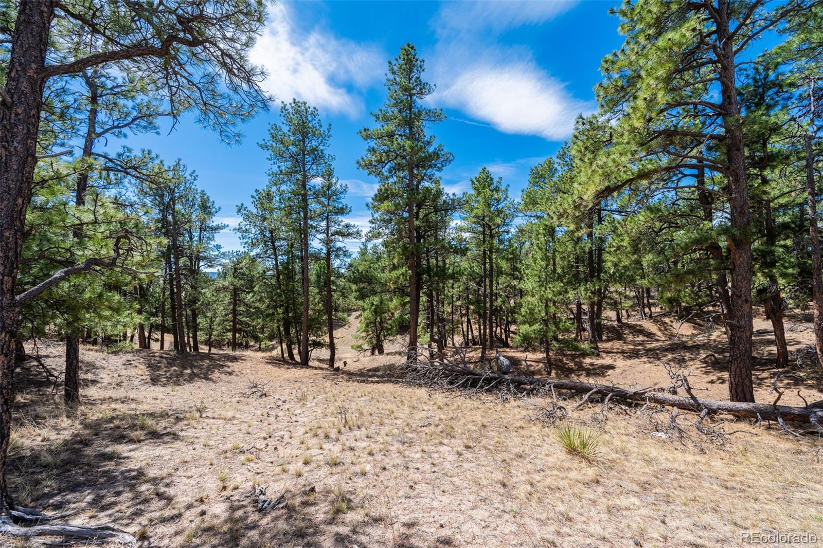 22555 County Road 49 Elbert CO 80106