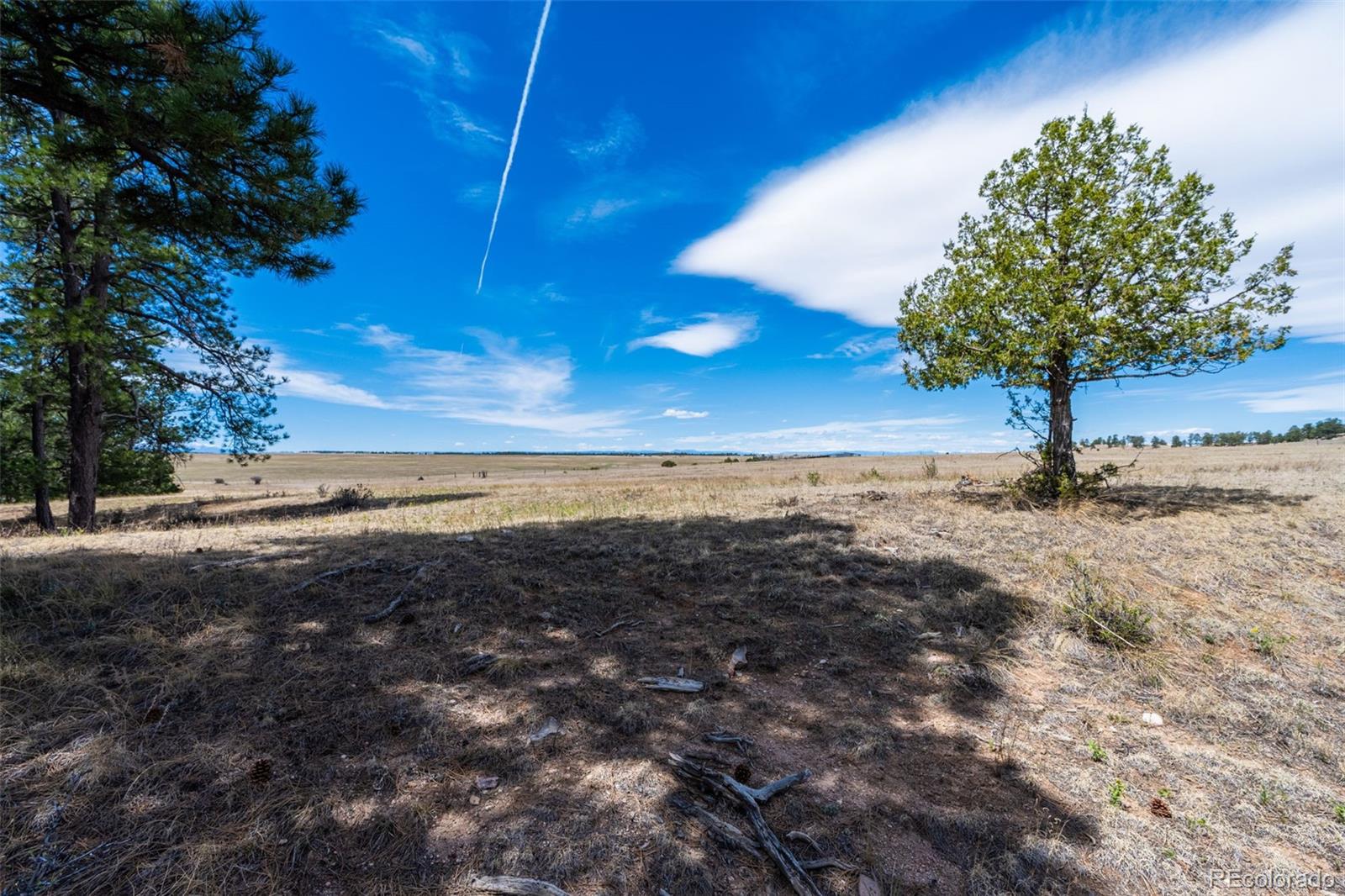 22555 County Road 49 Elbert CO 80106