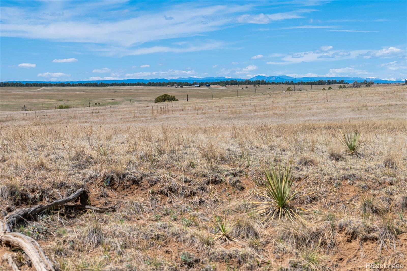 22555 County Road 49 Elbert CO 80106