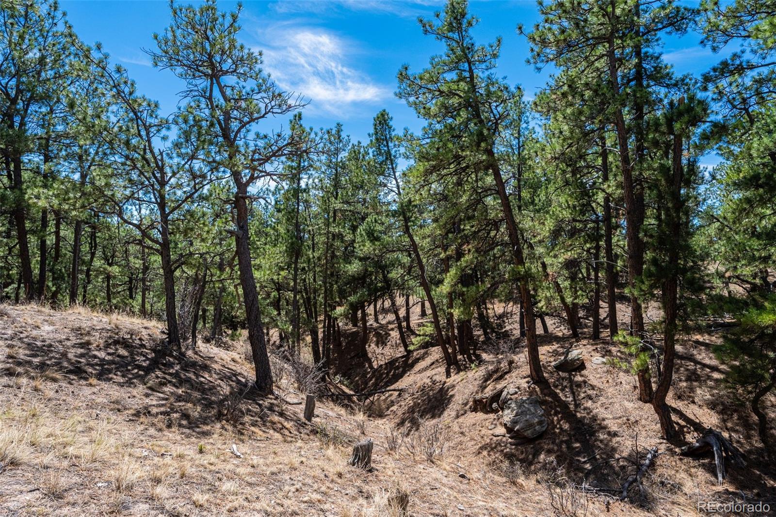 22555 County Road 49 Elbert CO 80106