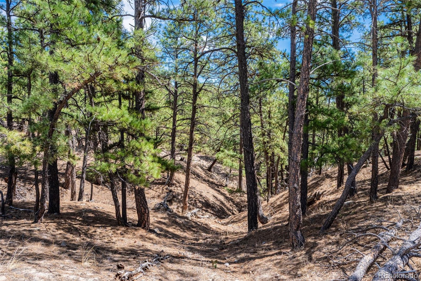 22555 County Road 49 Elbert CO 80106