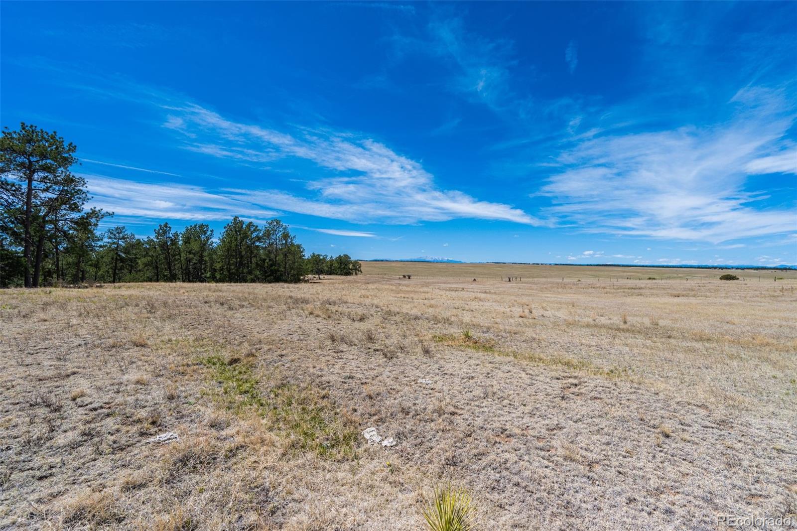 22555 County Road 49 Elbert CO 80106