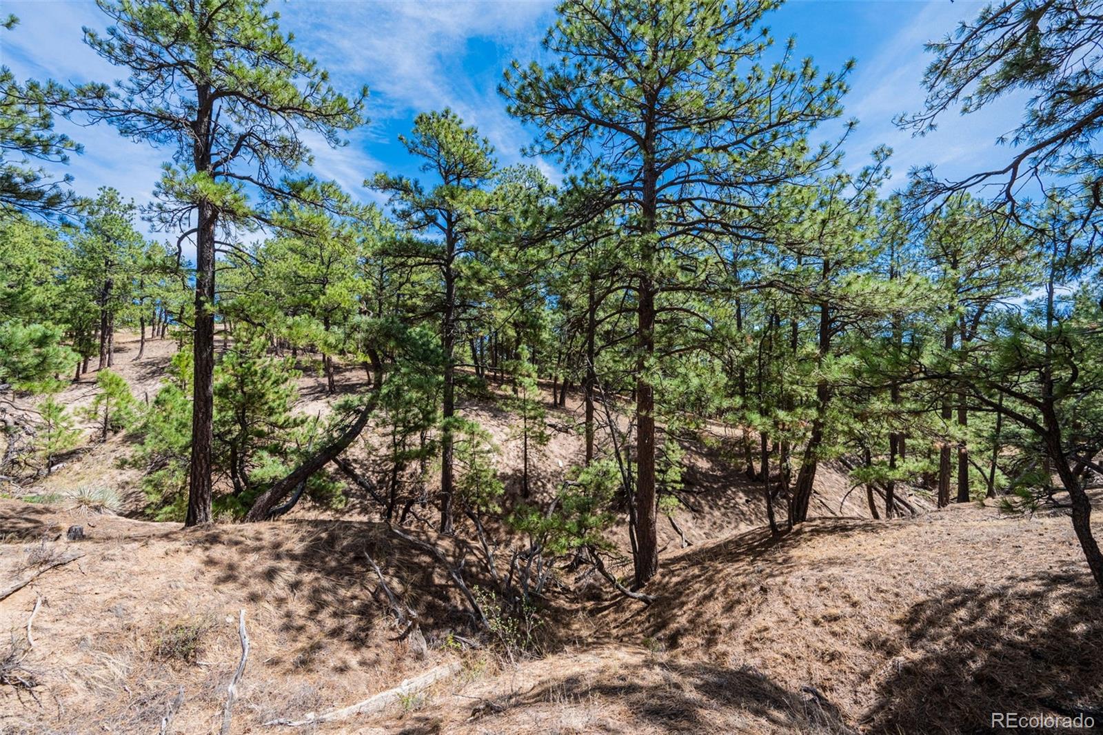 22555 County Road 49 Elbert CO 80106