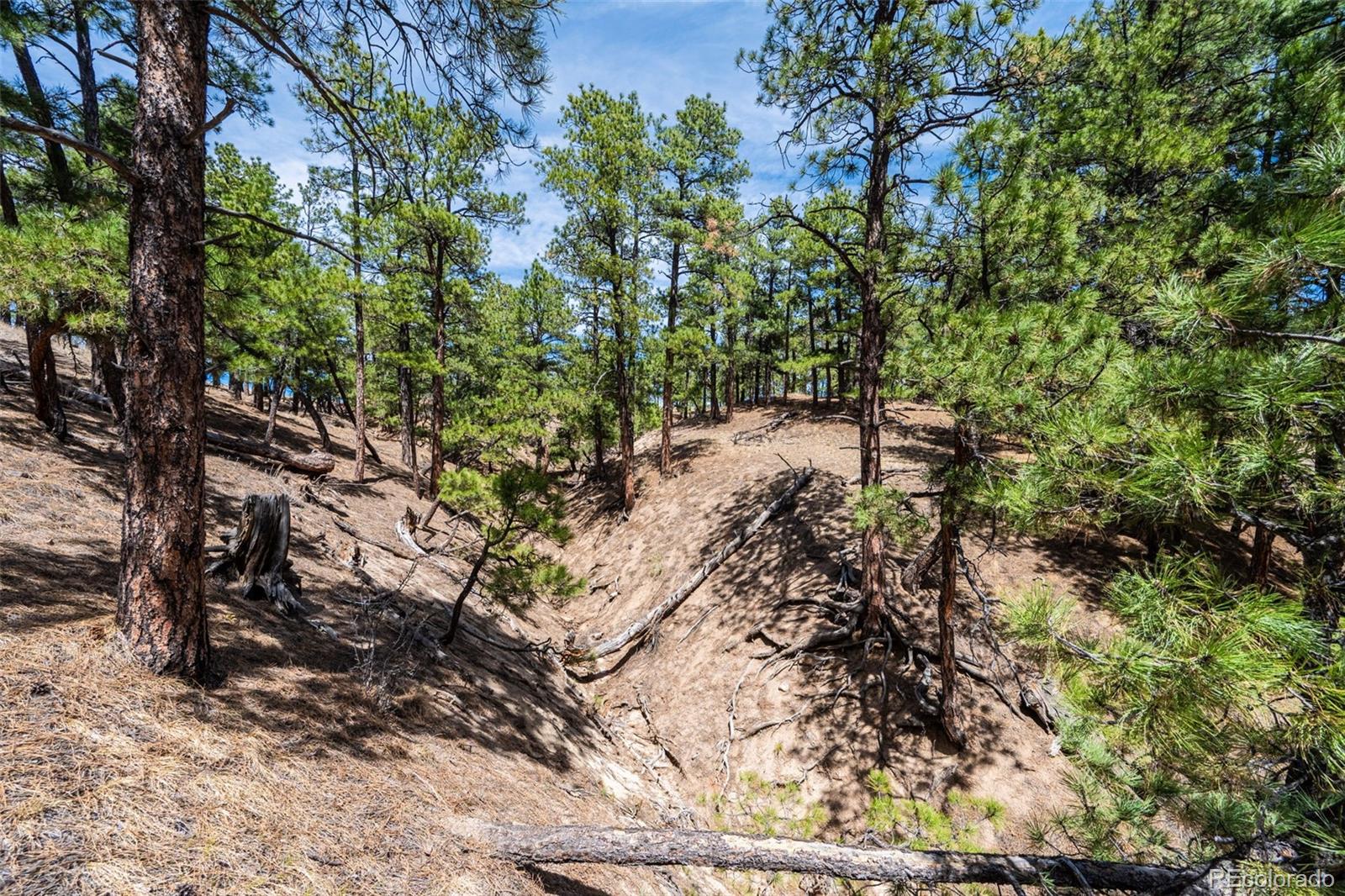22555 County Road 49 Elbert CO 80106