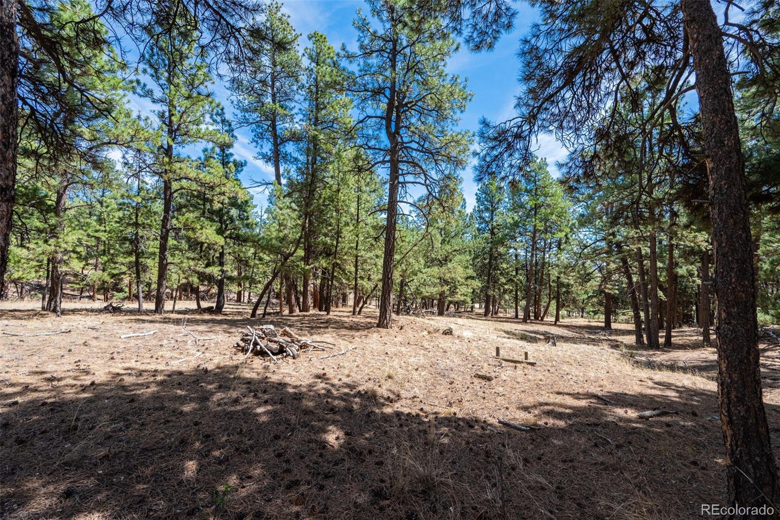 22555 County Road 49 Elbert CO 80106
