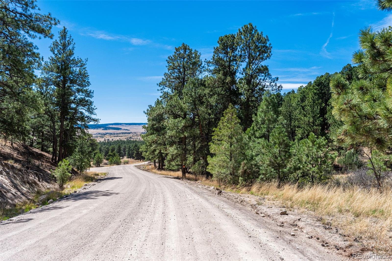 22555 County Road 49 Elbert CO 80106