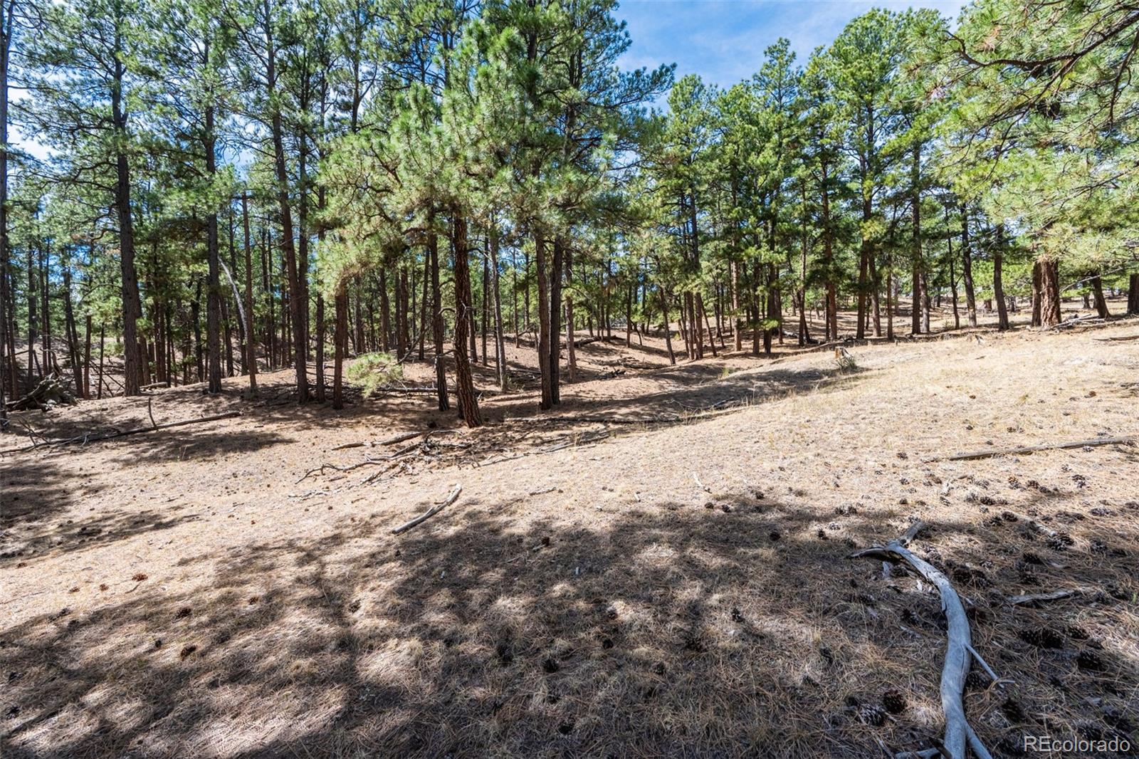 22555 County Road 49 Elbert CO 80106