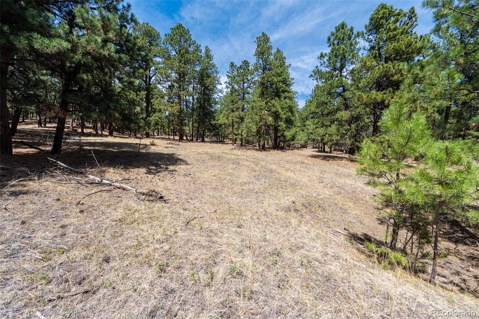 22555 County Road 49 Elbert CO 80106