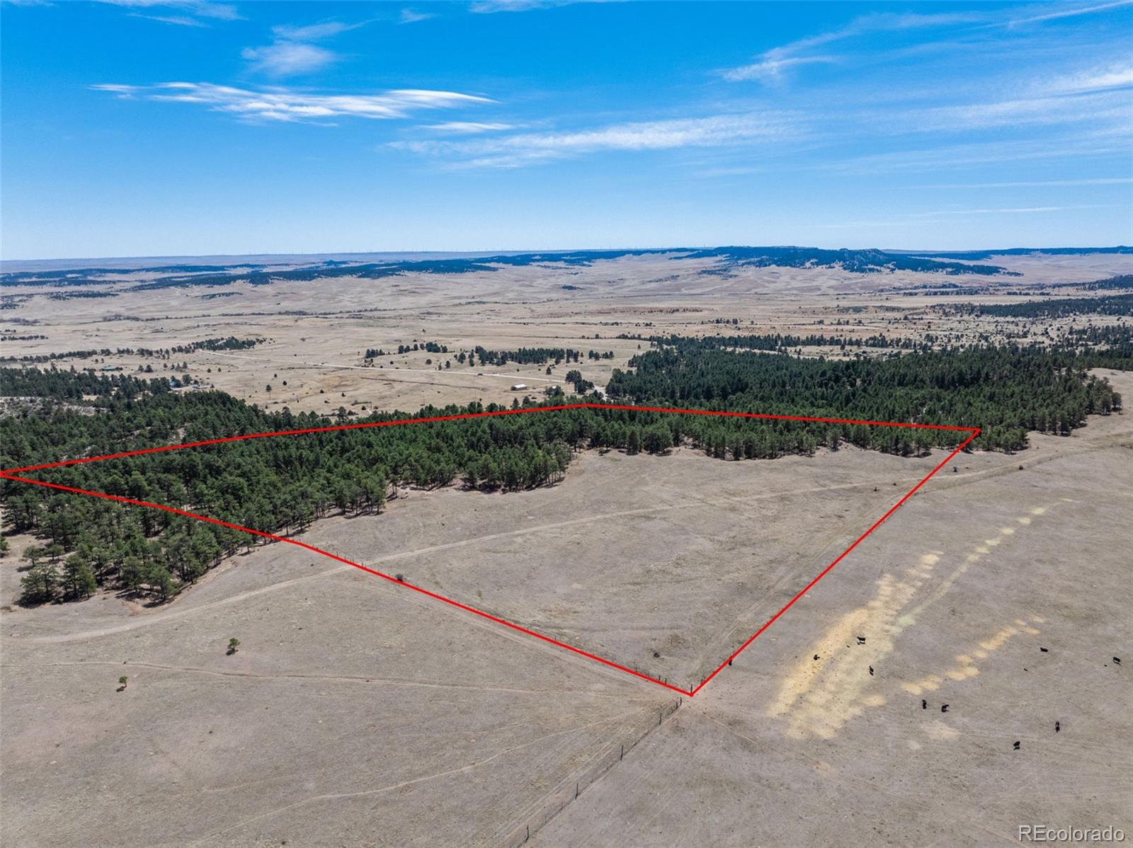 22555 County Road 49 Elbert CO 80106