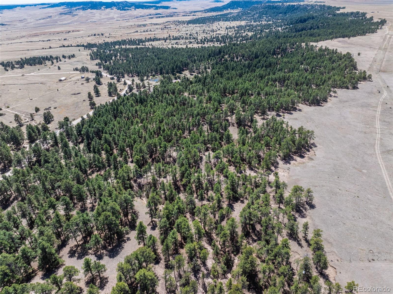 22555 County Road 49 Elbert CO 80106