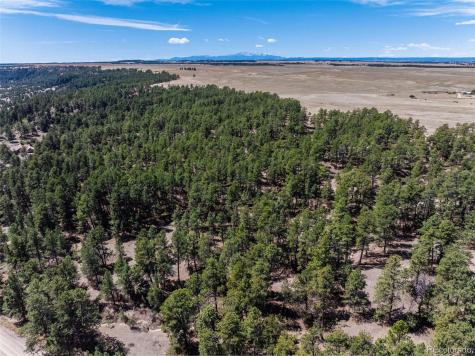 22555 County Road 49 Elbert CO 80106