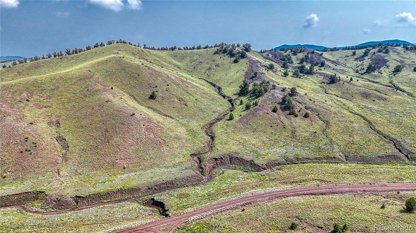 Lot 4134 Wicaka Trail Hartsel CO 80449
