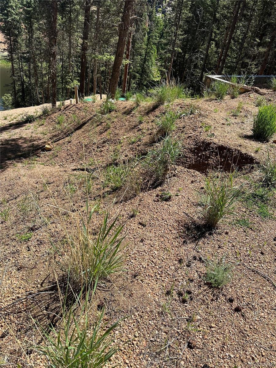 67 Gerka Lane Florissant CO 80816