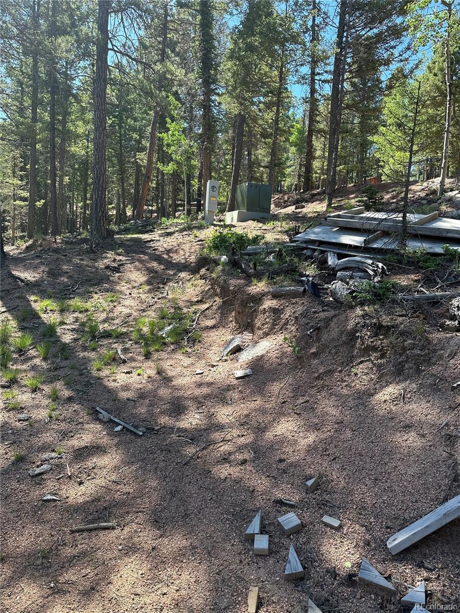 67 Gerka Lane Florissant CO 80816