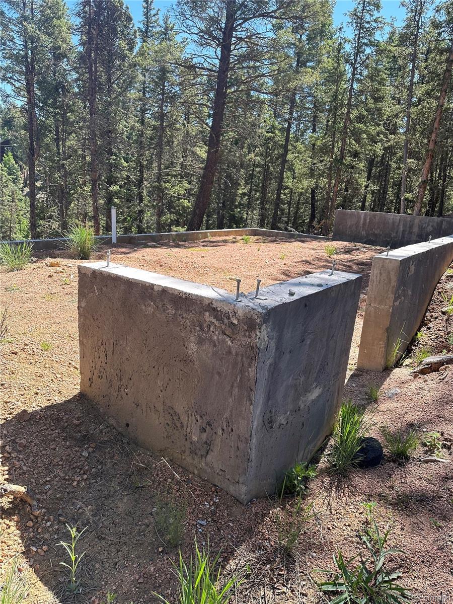 67 Gerka Lane Florissant CO 80816