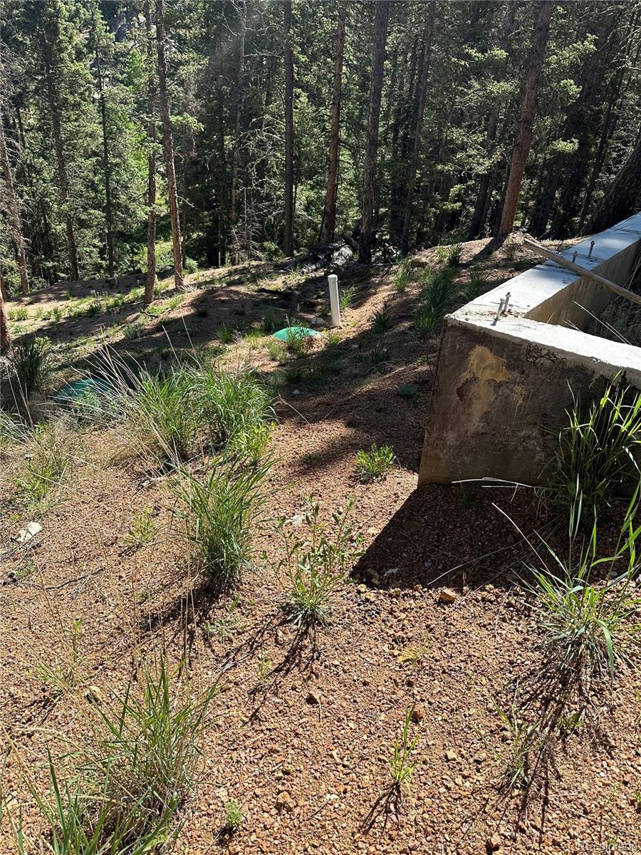 67 Gerka Lane Florissant CO 80816