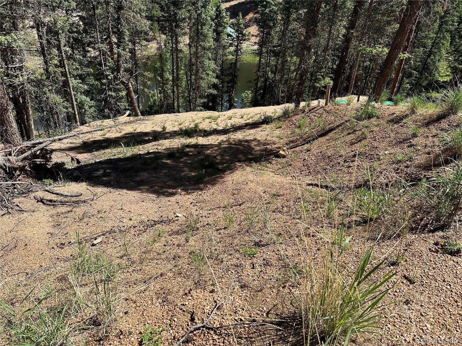 67 Gerka Lane Florissant CO 80816
