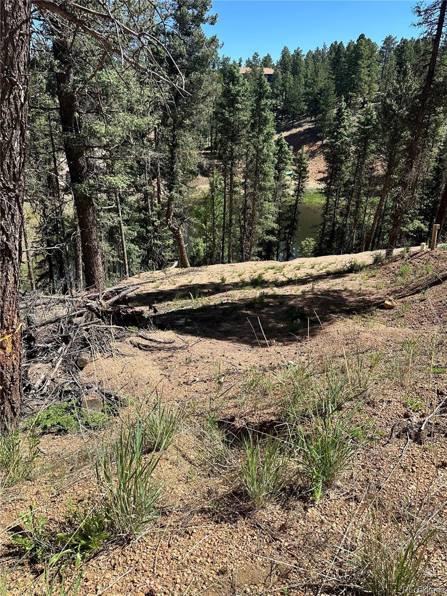 67 Gerka Lane Florissant CO 80816