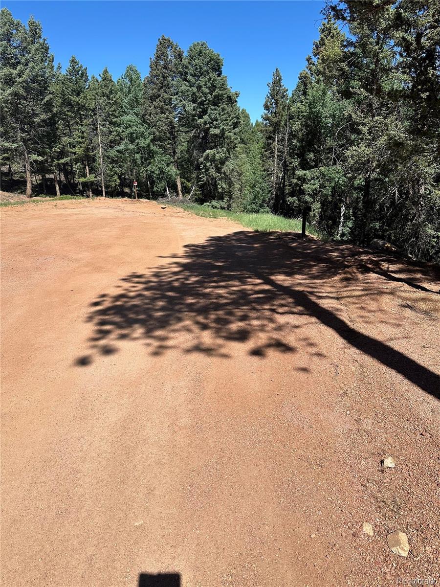67 Gerka Lane Florissant CO 80816
