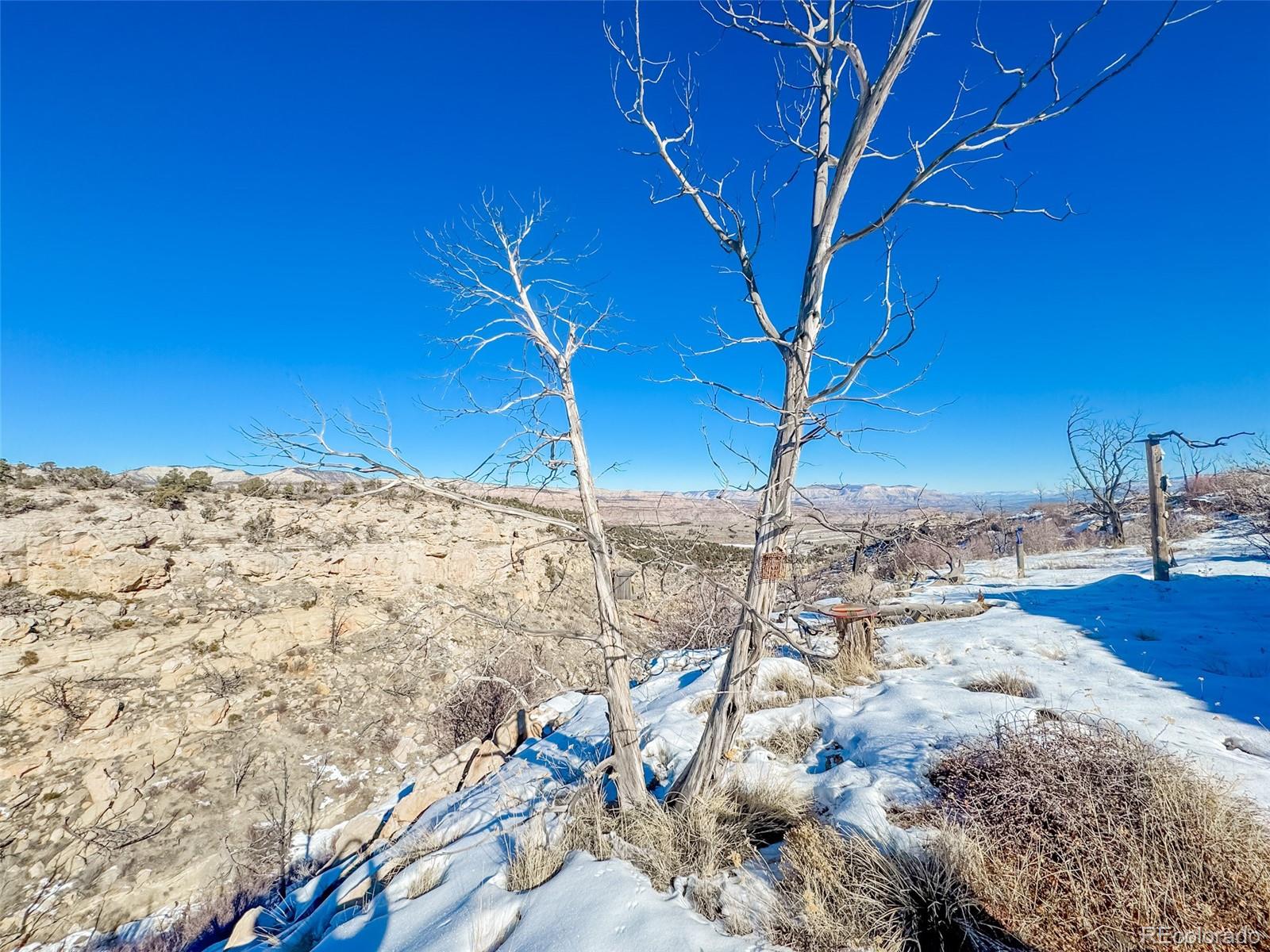 1719 35 1/10 Road De Beque CO 81630