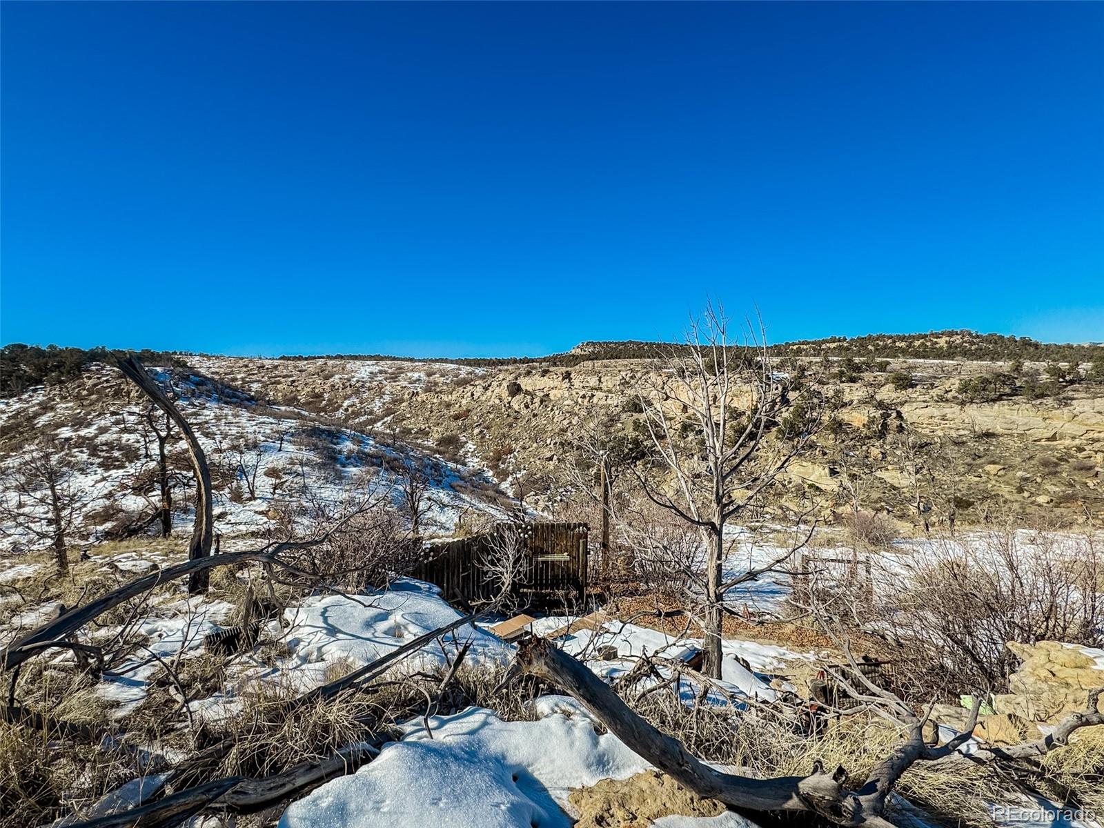 1719 35 1/10 Road De Beque CO 81630