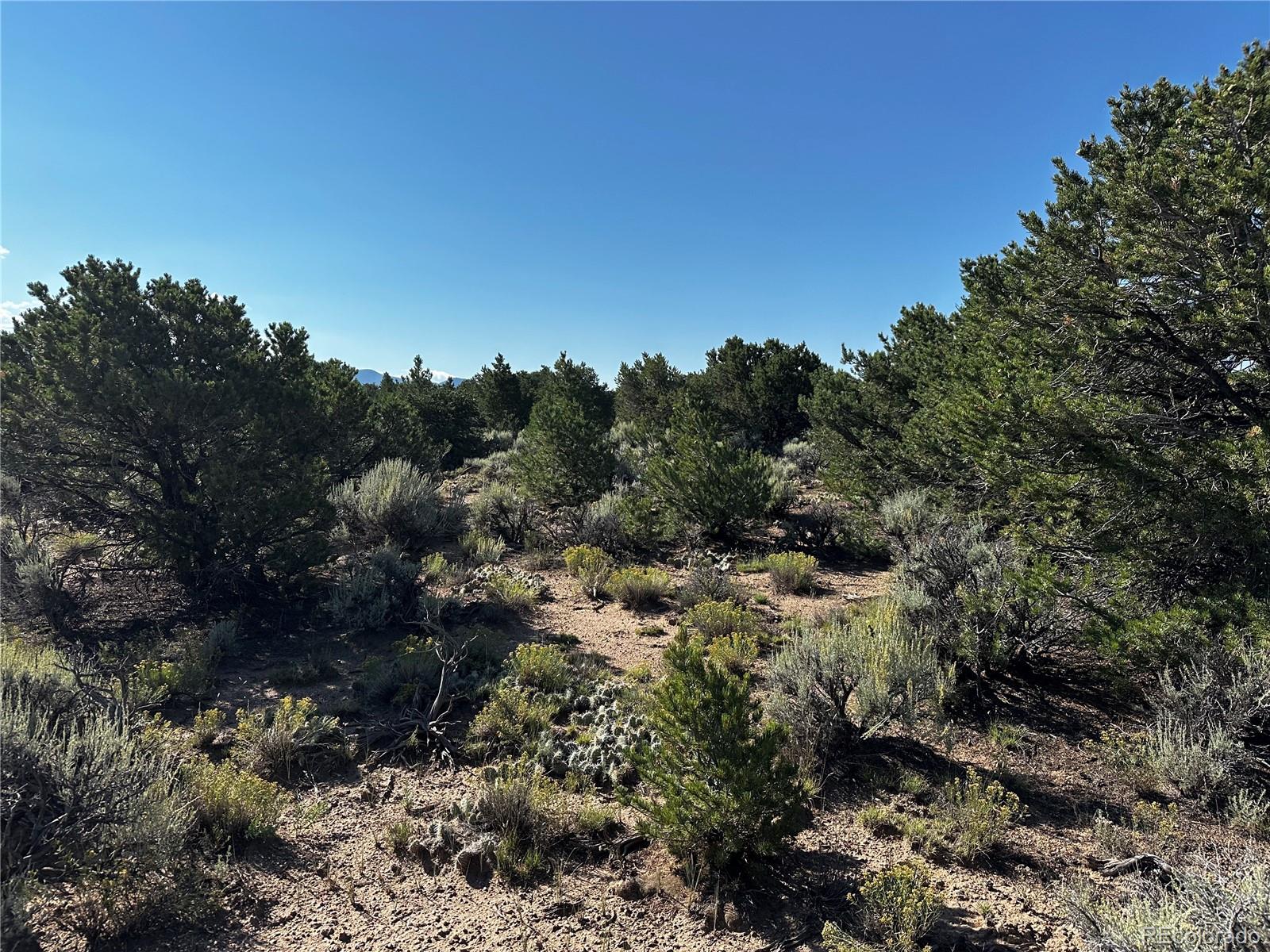 735 Slegers Road Fort Garland CO 81133