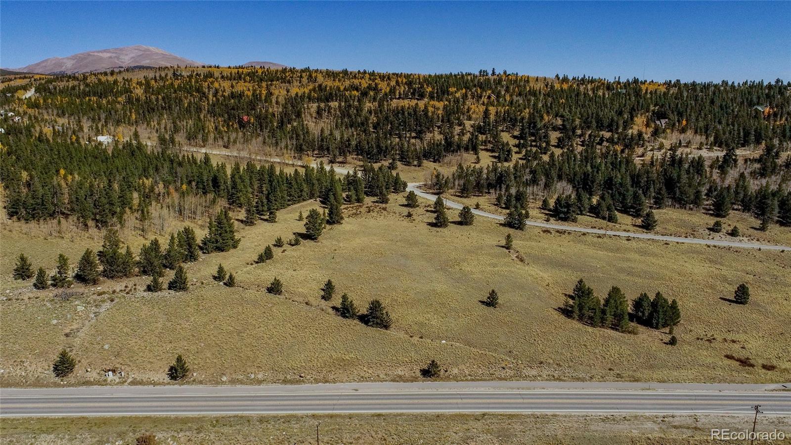 267 Platte River Drive Fairplay CO 80440