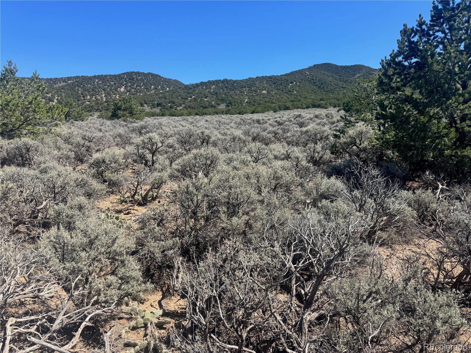 Lot 1275 Juarez Road Fort Garland CO 81133