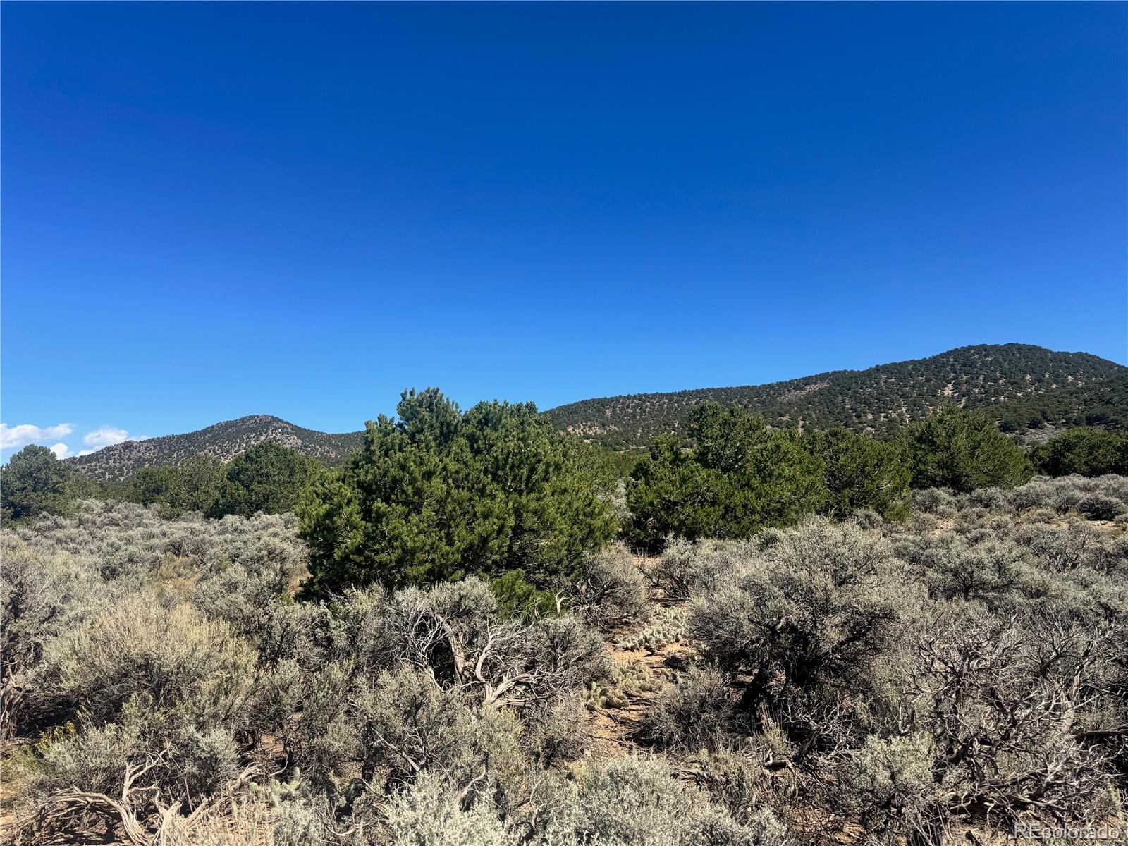 Lot 1275 Juarez Road Fort Garland CO 81133