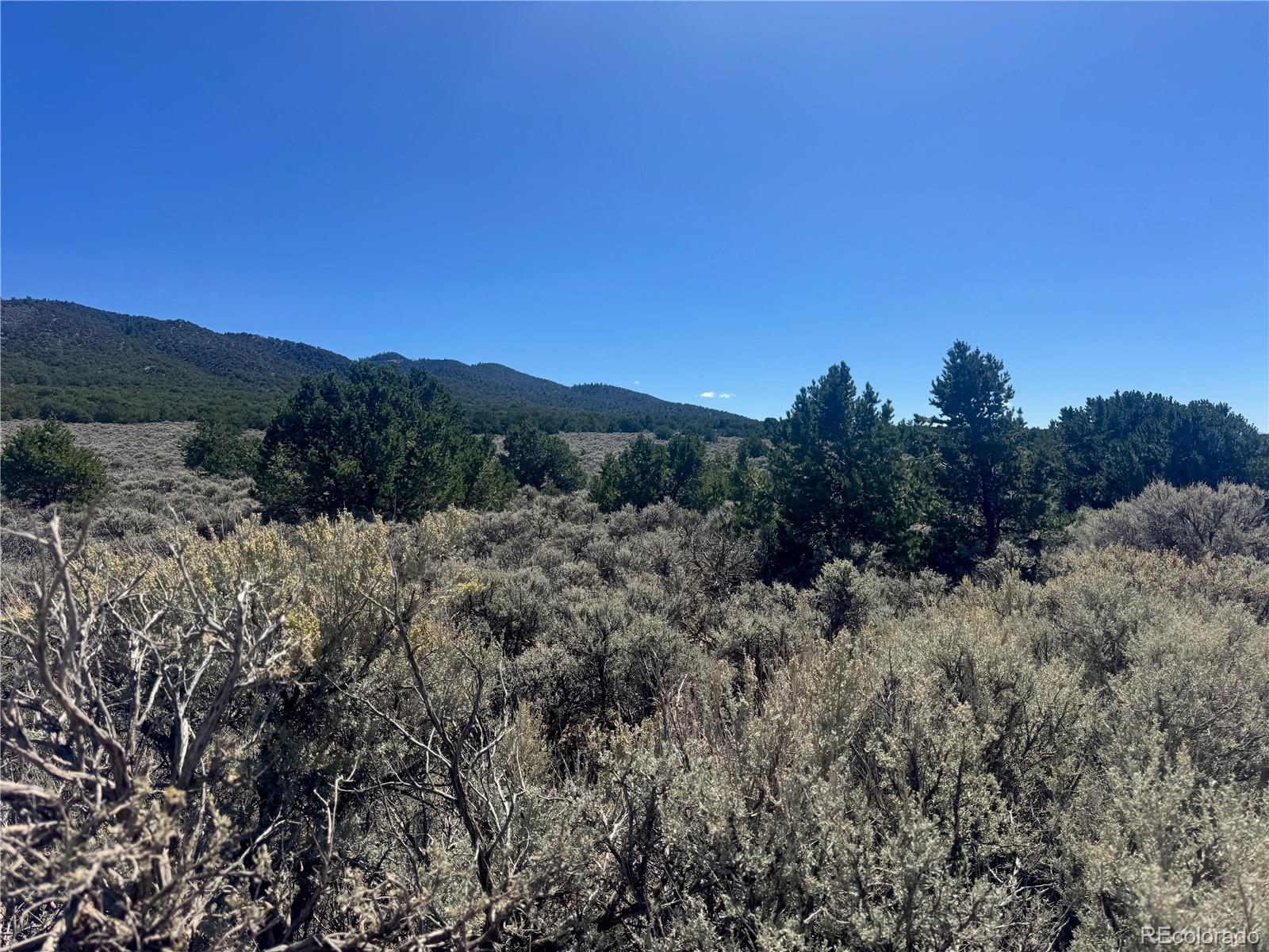 Lot 1275 Juarez Road Fort Garland CO 81133