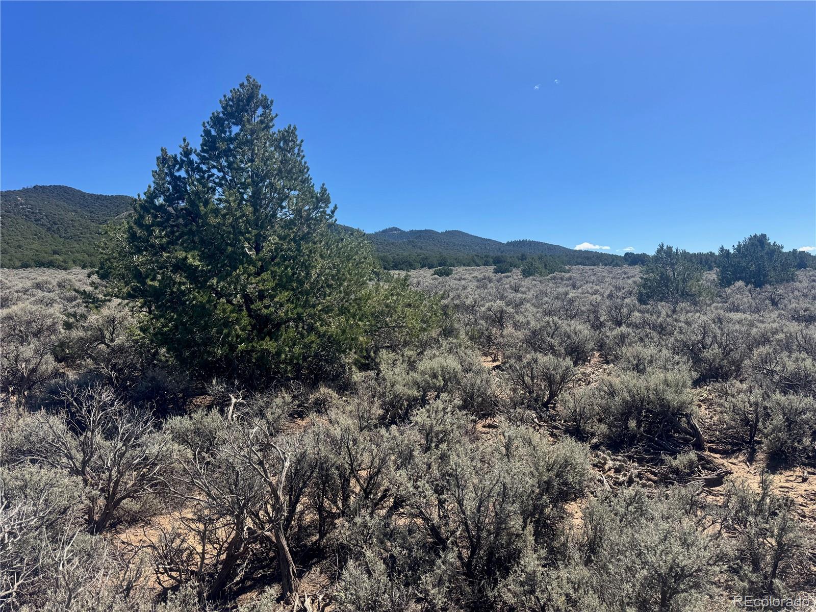 Lot 1275 Juarez Road Fort Garland CO 81133