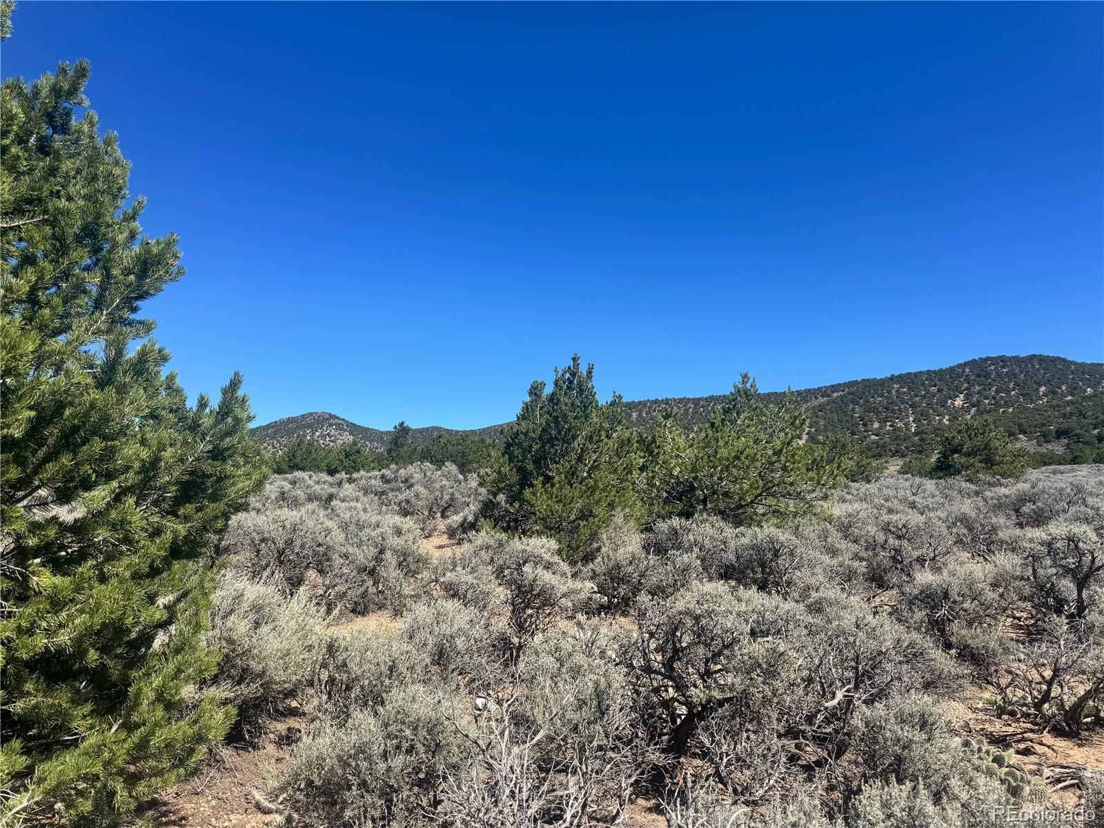 Lot 1275 Juarez Road Fort Garland CO 81133
