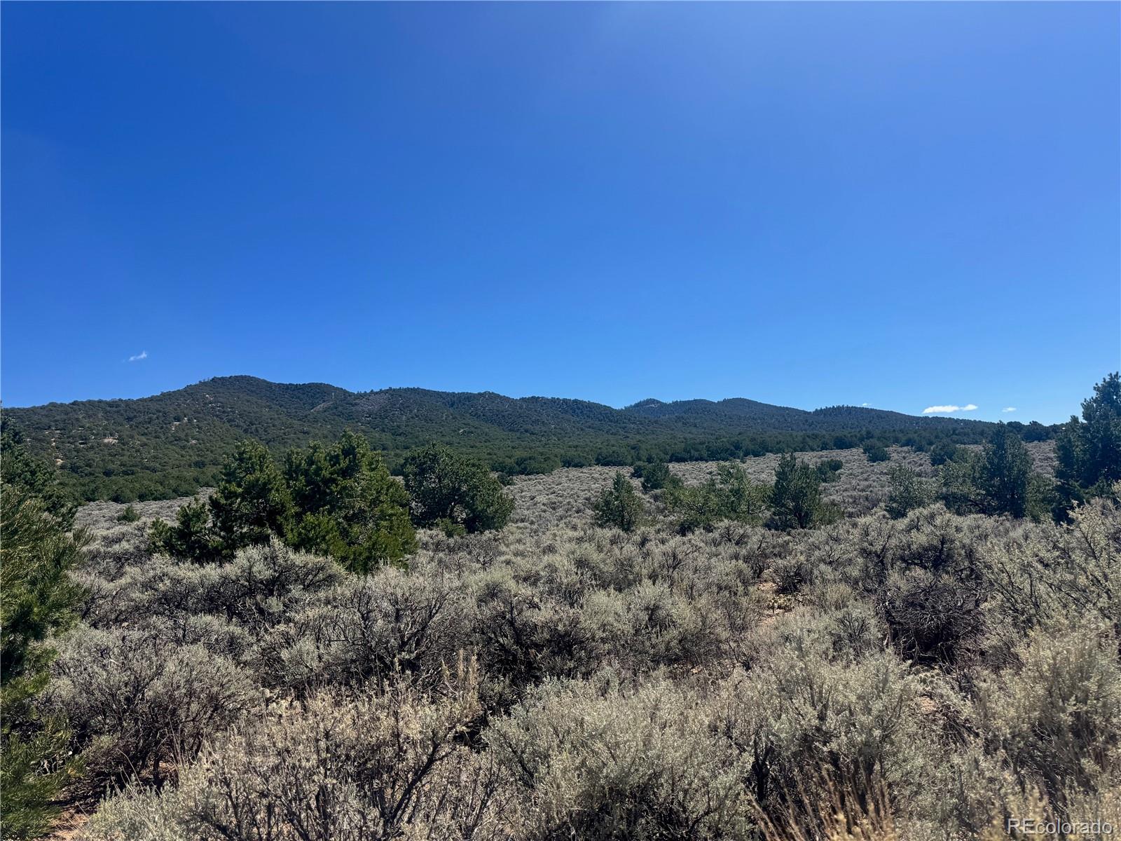 Lot 1275 Juarez Road Fort Garland CO 81133