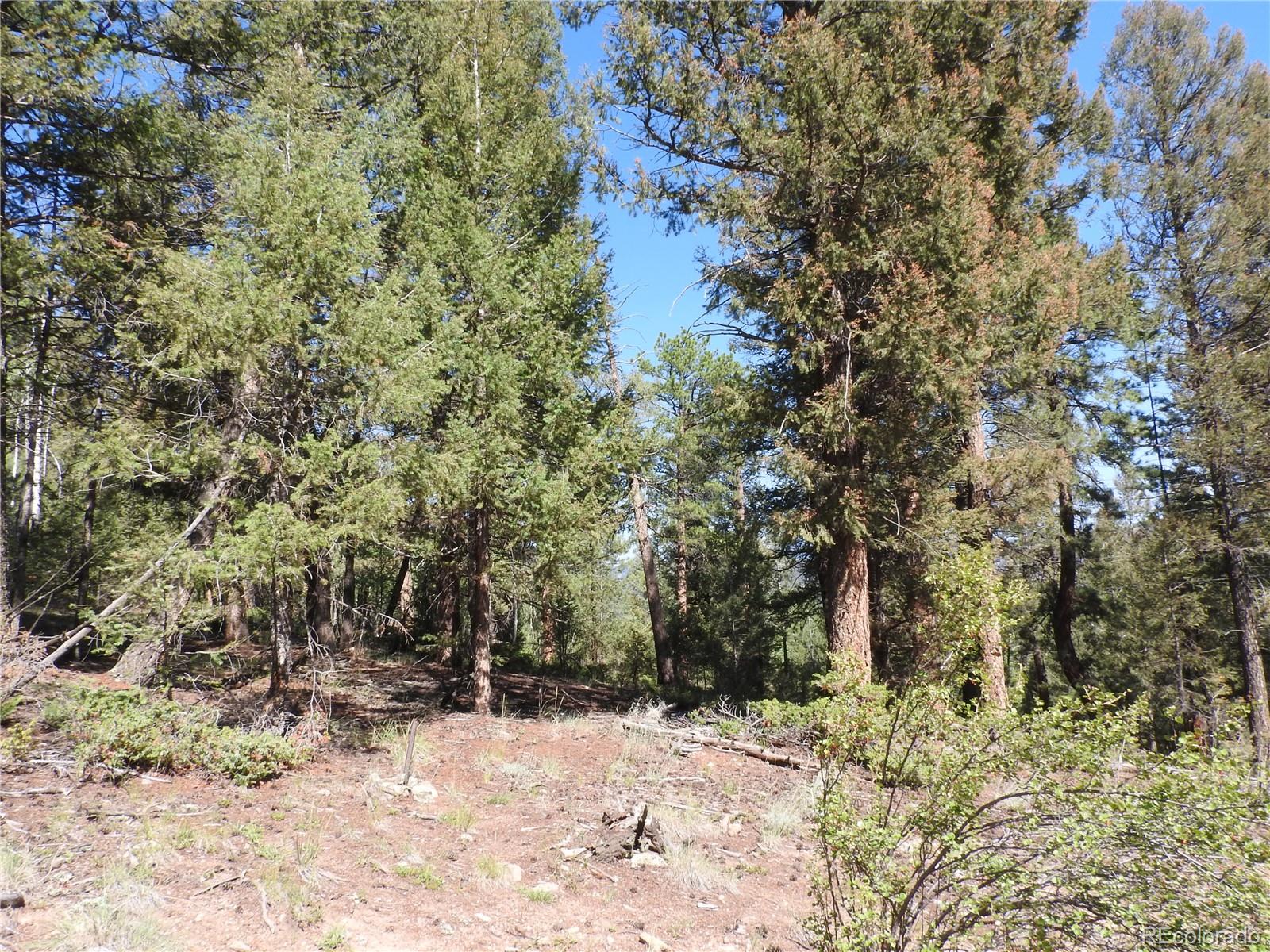 12907 S Cindy Avenue Pine CO 80470