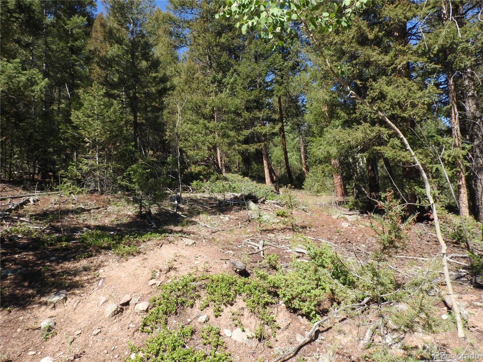 12907 S Cindy Avenue Pine CO 80470