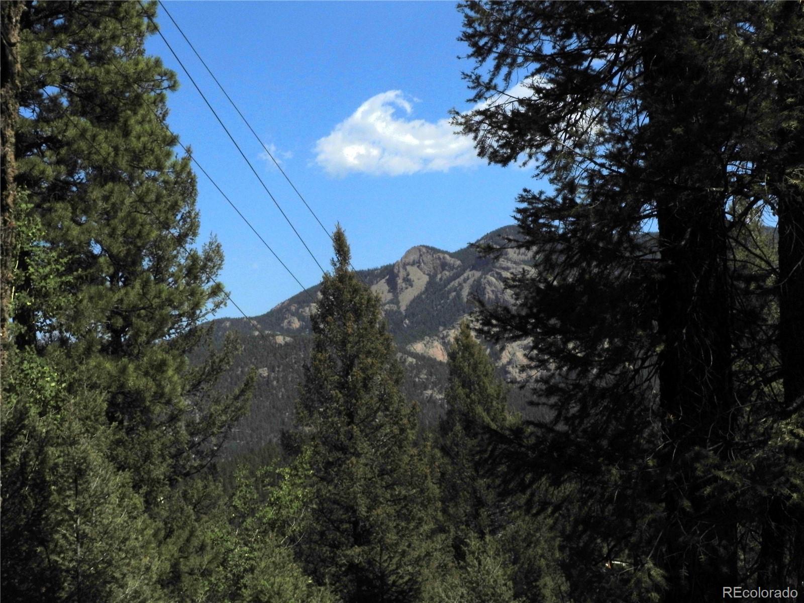 12907 S Cindy Avenue Pine CO 80470
